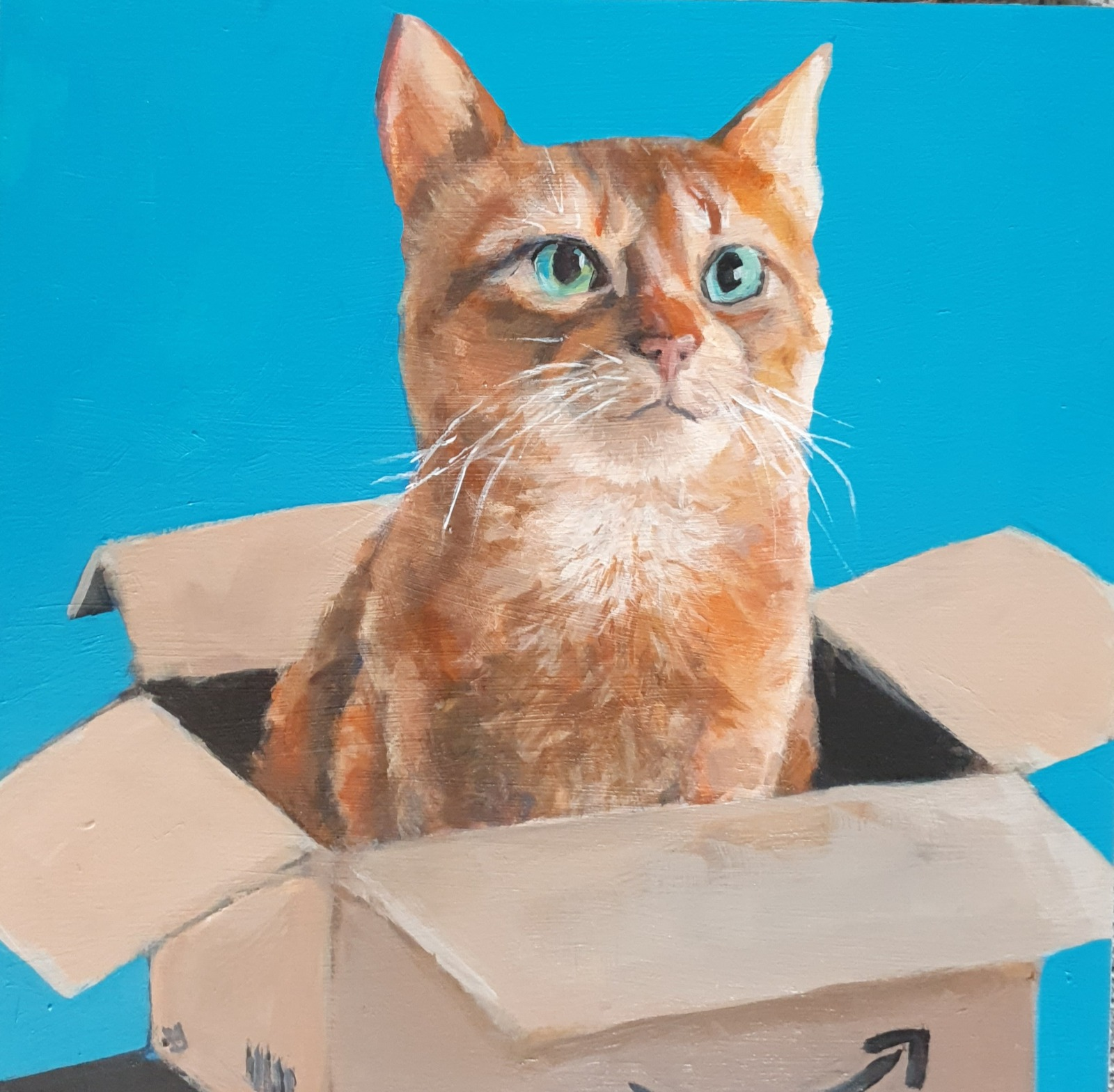 George's Box