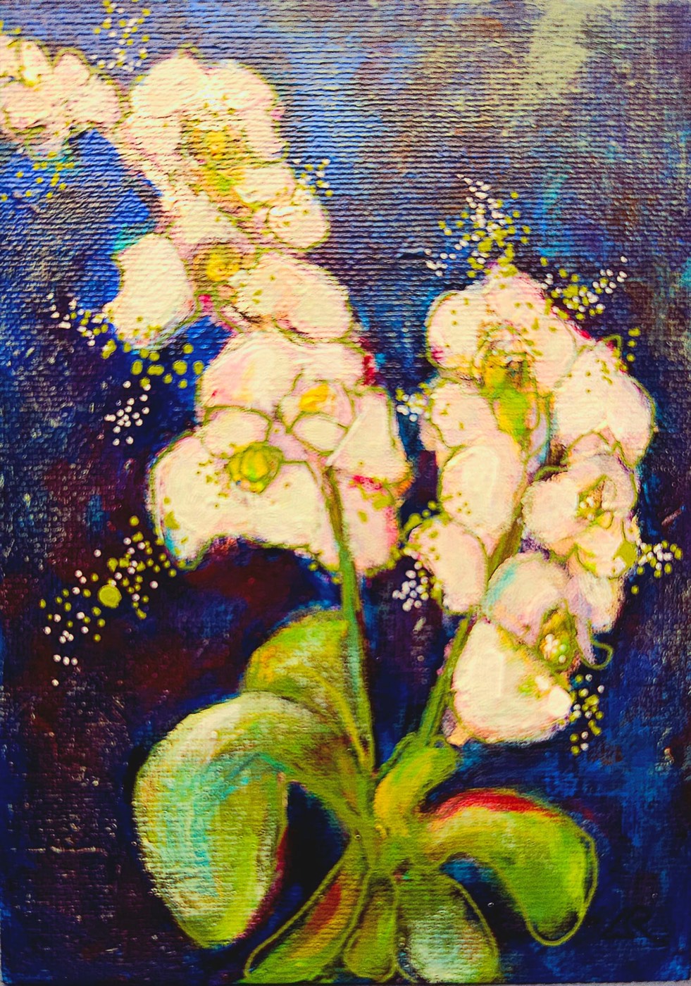 Cool Orchids